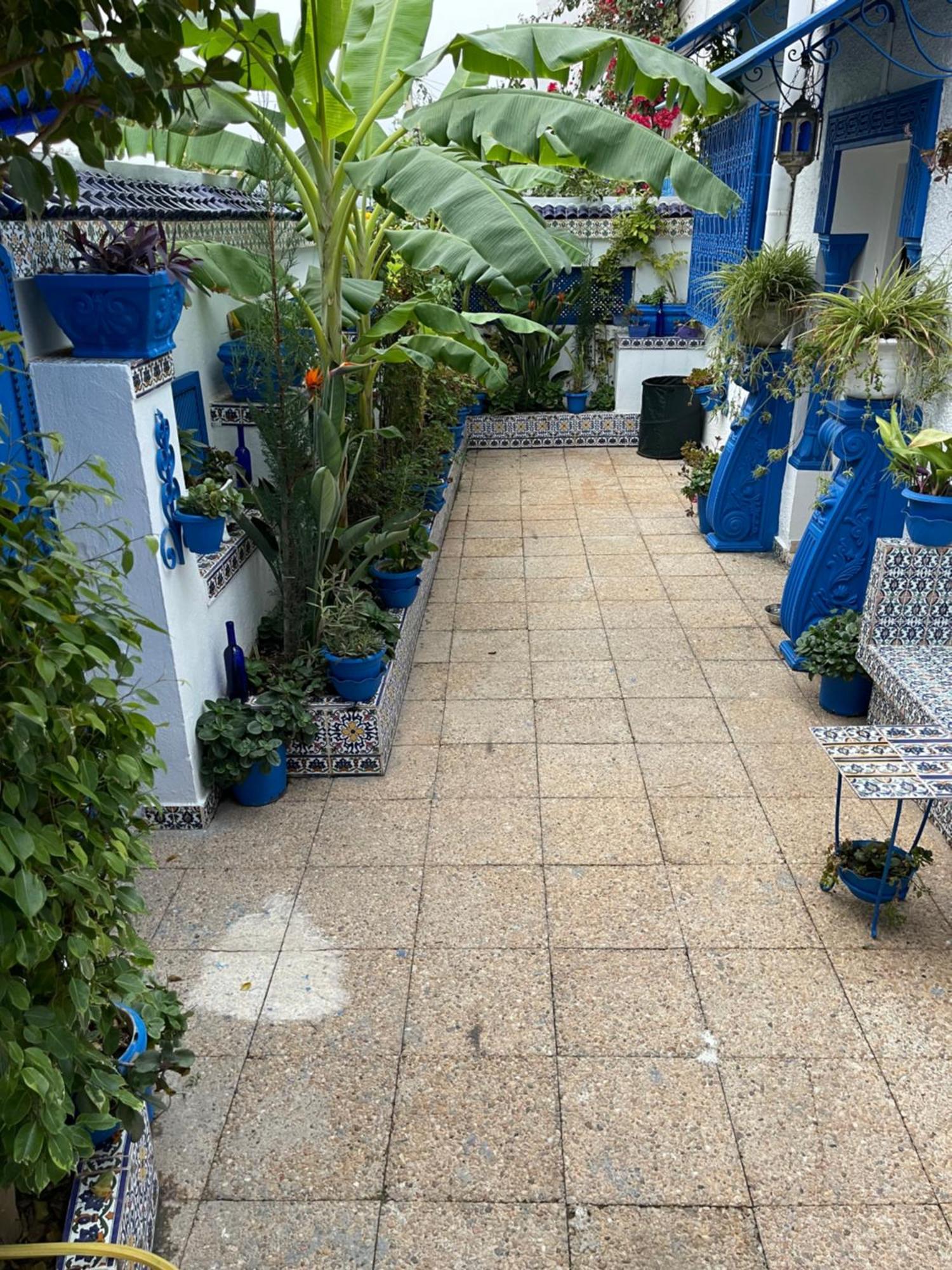 Villa The Blue And White Perle Sidi Bou Ali Esterno foto
