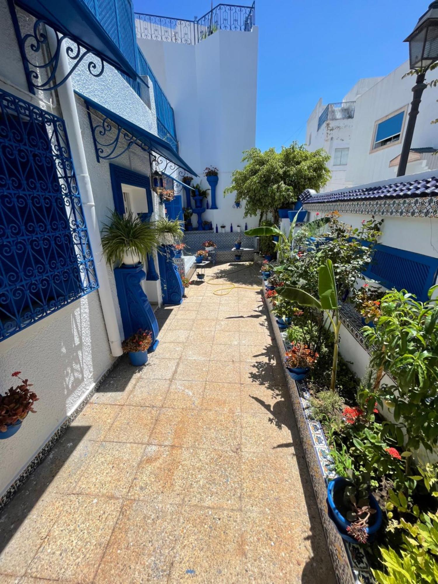 Villa The Blue And White Perle Sidi Bou Ali Esterno foto
